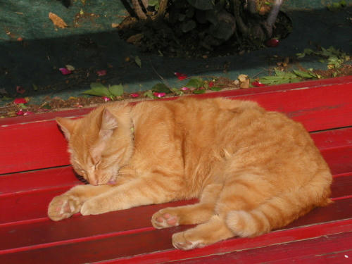 20110222-04.jpg