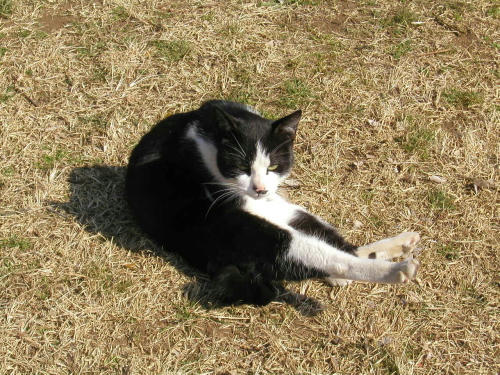20110222-05.jpg