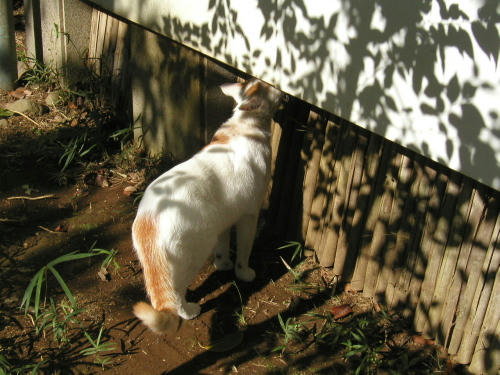 20110222-06.jpg