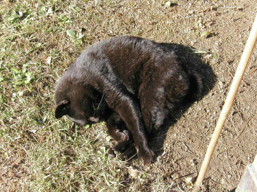 20110222-07.jpg