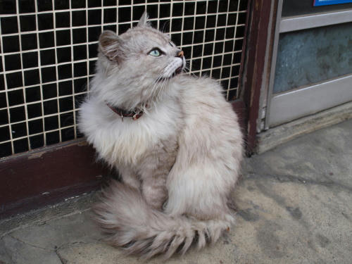 20110222-09.jpg