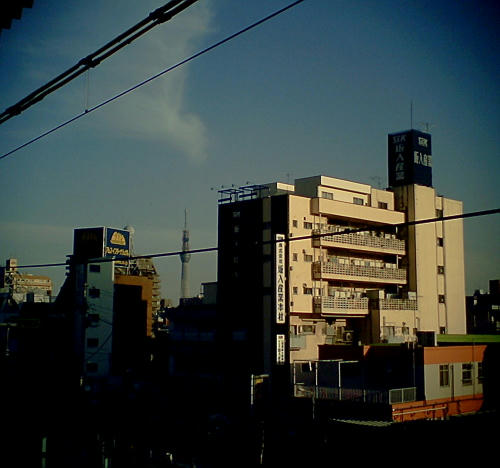 20110307-01.jpg