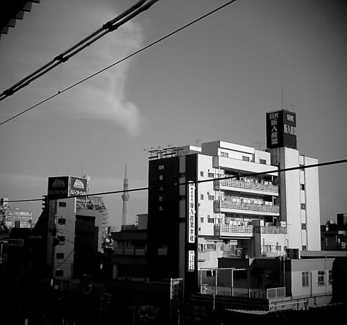 20110307-02.jpg