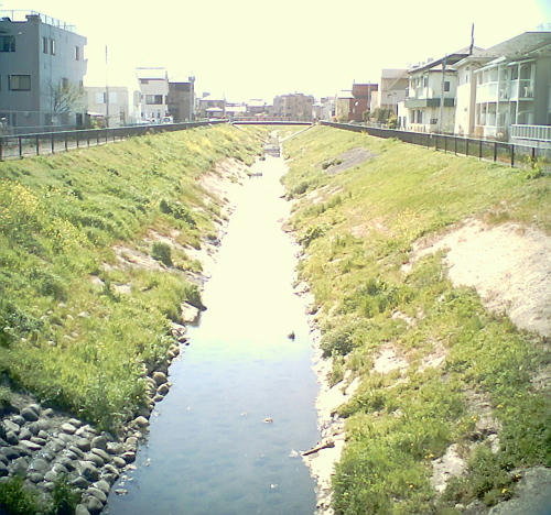 20110417-01.jpg