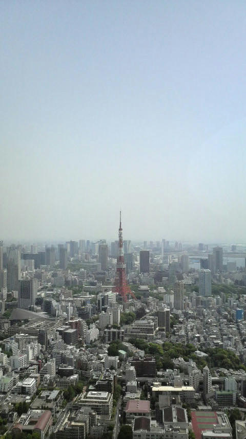 20110505-01.JPG