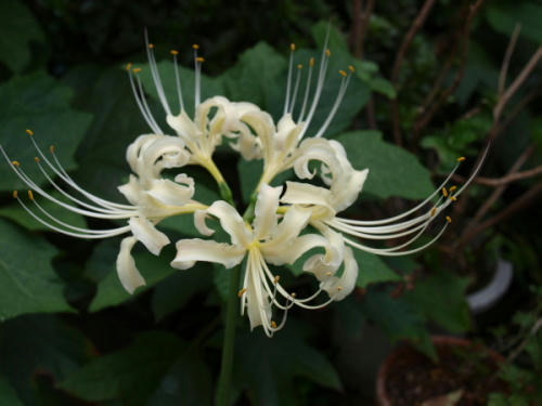 20111003-01.jpg