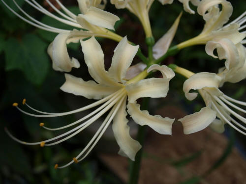 20111003-02.jpg