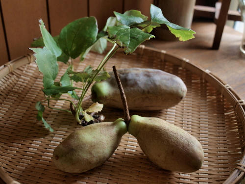 20111016.jpg