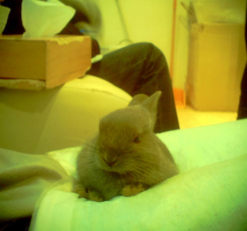20111101-01.jpg