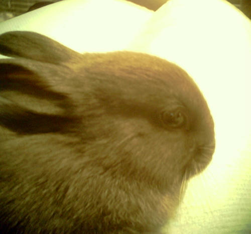 20111101-02.jpg