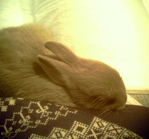 20111101-03.jpg