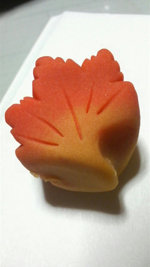 20111102.JPG