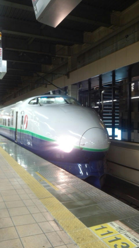 DCF00073.JPG