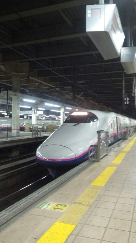 DCF00072.JPG