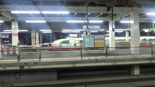 DCF00047.JPG