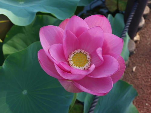 20121031-03.jpg