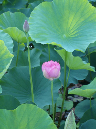 20121031-04.jpg
