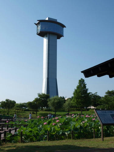 20121031-06.jpg