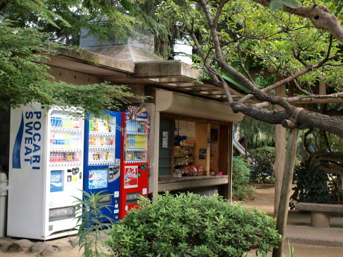 20130107-11.jpg