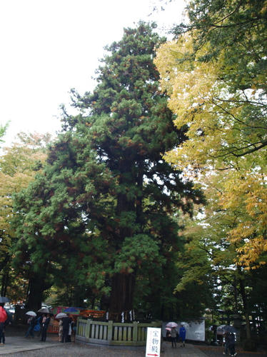20130116-06.jpg