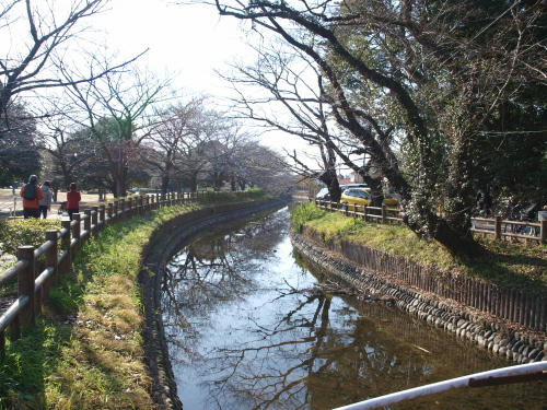 20130119-05.jpg