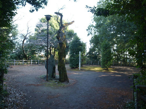 20130119-07.jpg
