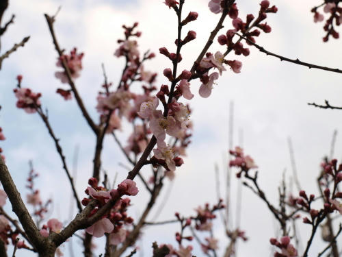 20130310-10