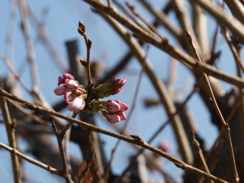 20130321-01