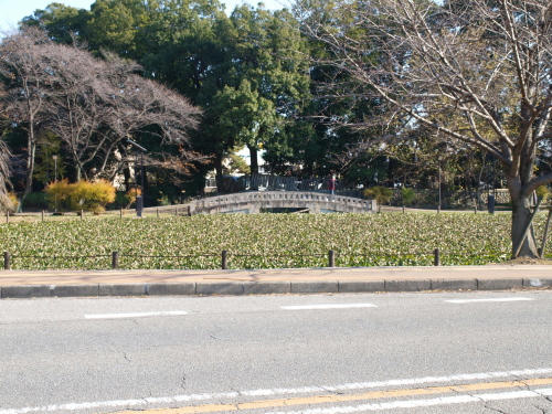 20130425-05