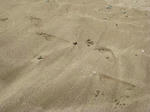 IMG_0030-2.JPG