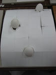 RIMG0243.JPG