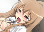 taiga.jpg
