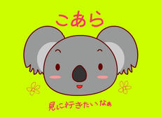 blog36.jpg