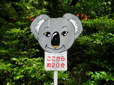 SANY0389.JPG
