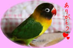 OB1306546061475.jpg