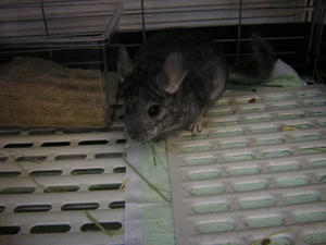 DSCN2220.JPG