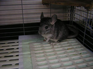 DSCN2230.JPG