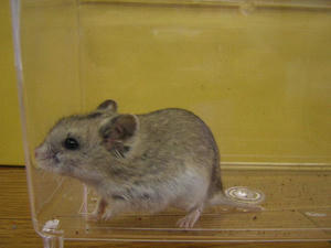 DSCN2205.JPG