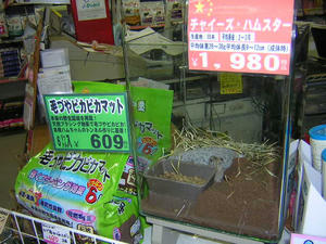 DSCN2197.JPG