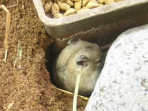 DSCN2194.JPG