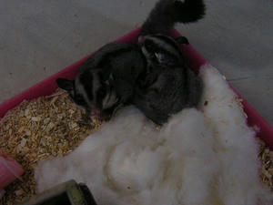 DSCN2232.JPG