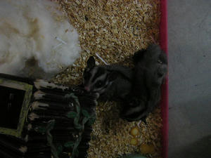 DSCN2234.JPG