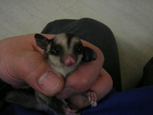 DSCN2236.JPG