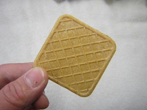 DSCN2321.JPG