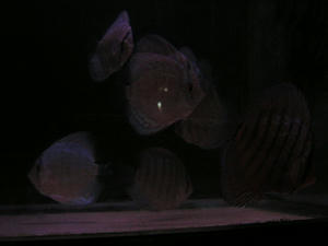DSCN2326.JPG
