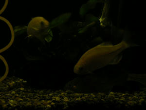 DSCN2332.JPG