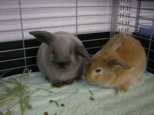 DSCN2350.JPG