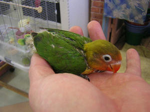 DSCN2353.JPG