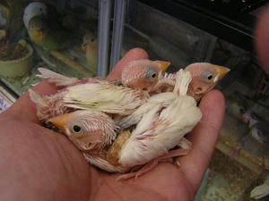 DSCN2356.JPG
