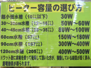 DSCN2448.JPG